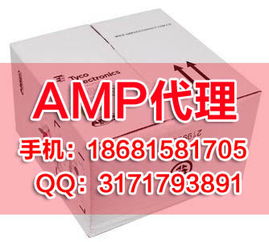 攀枝花網絡設備配件公司名錄與網絡線選購指南